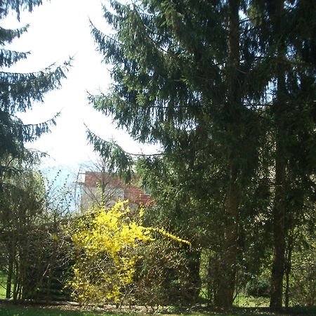 Gartenapartment Цел ам Зее Екстериор снимка