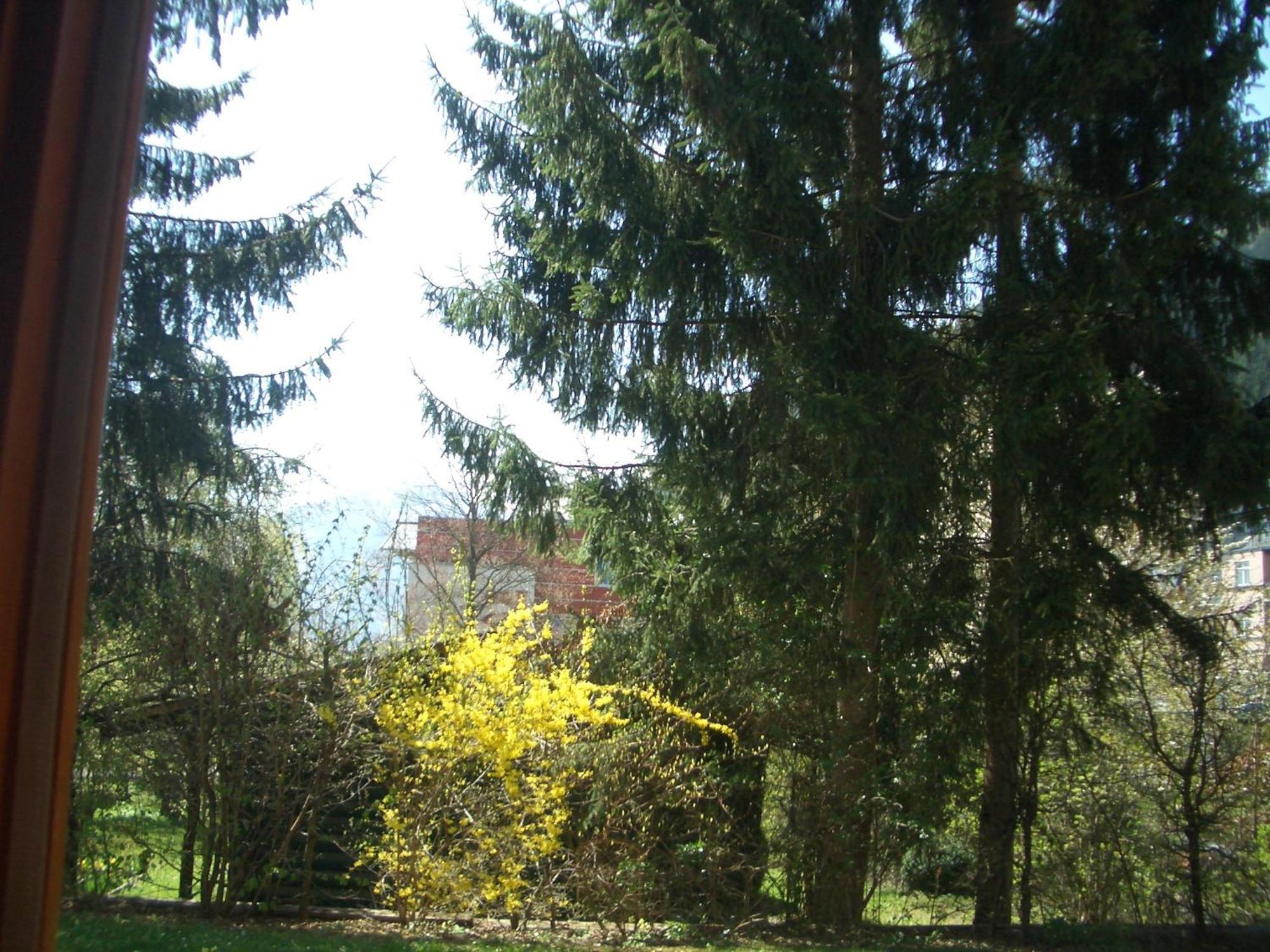Gartenapartment Цел ам Зее Екстериор снимка